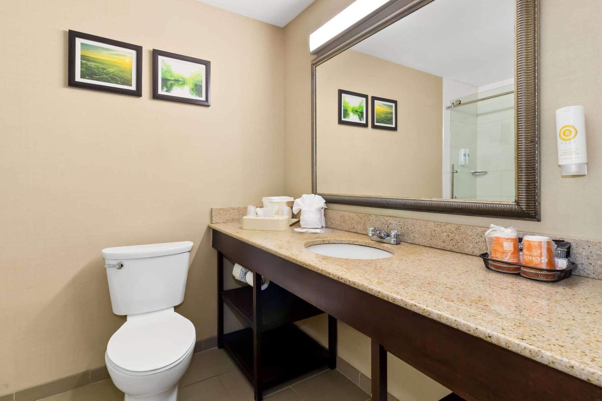 Comfort Hotel