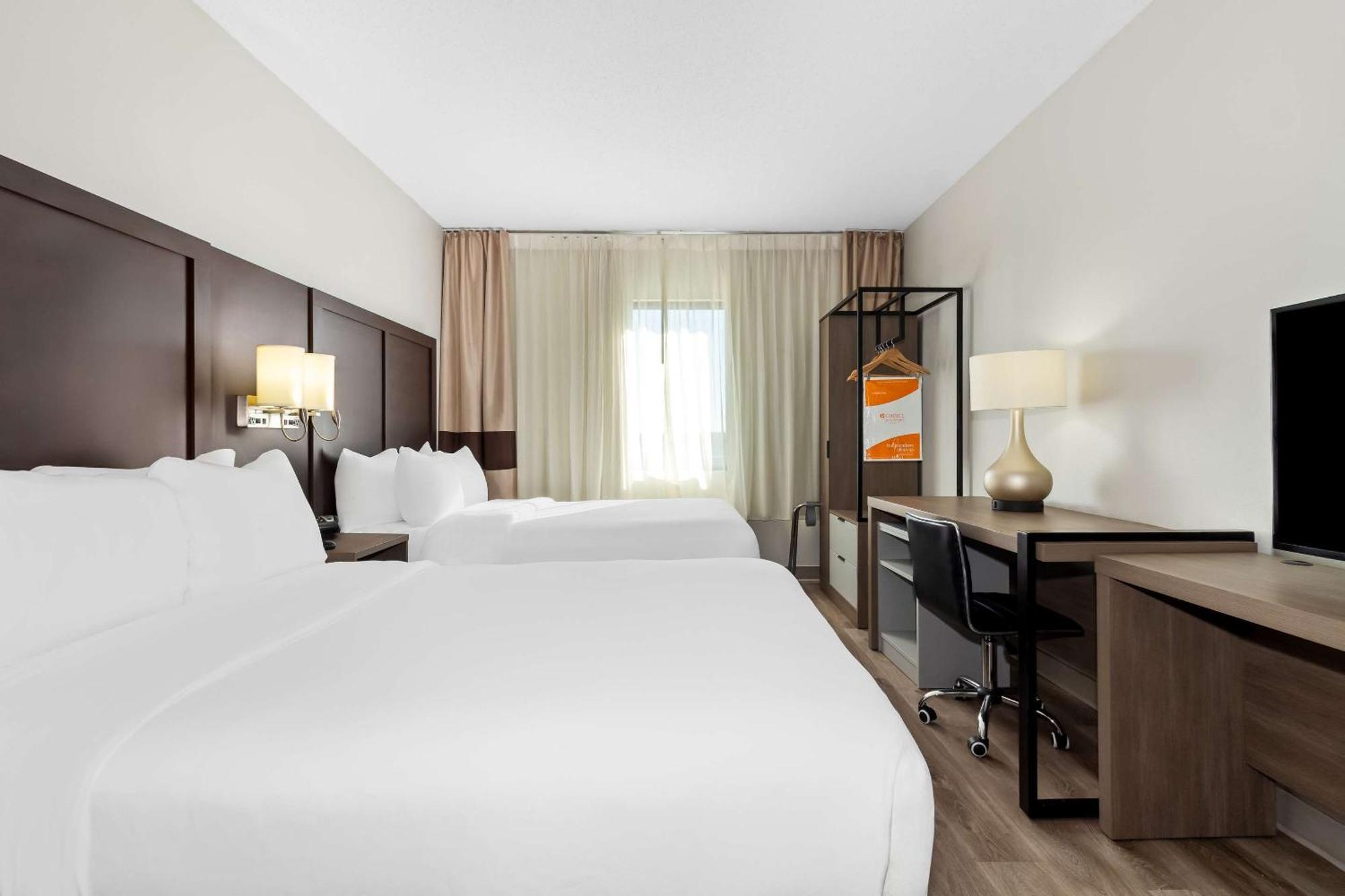Comfort 3*